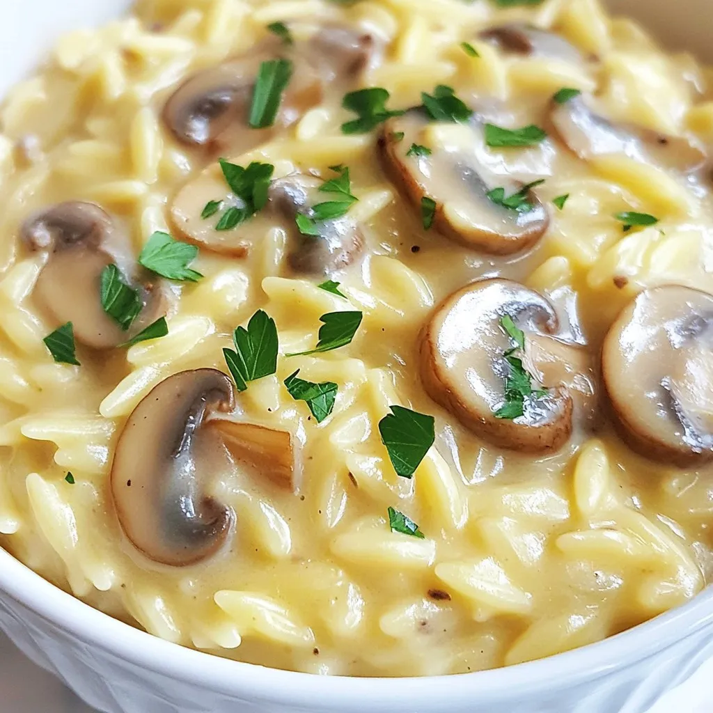 Creamy Mushroom Orzo Flavorful and Easy Recipe
